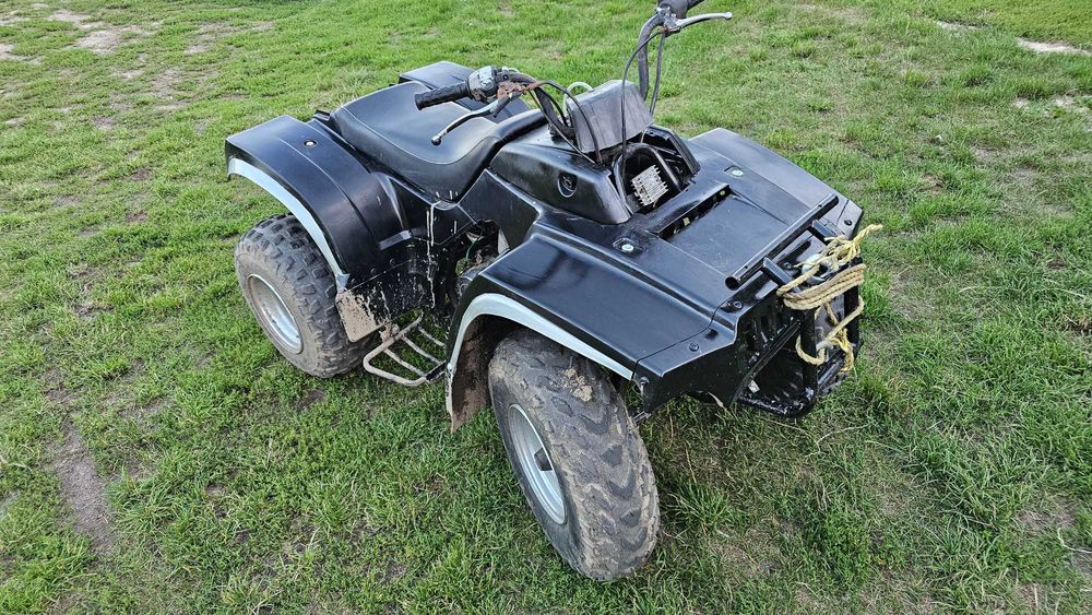 quad kingway traper 250