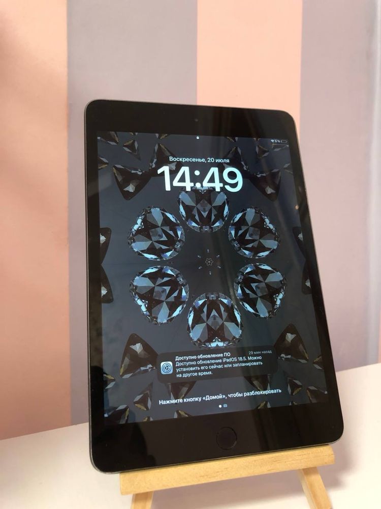 iPad Mini 5 Space Gray