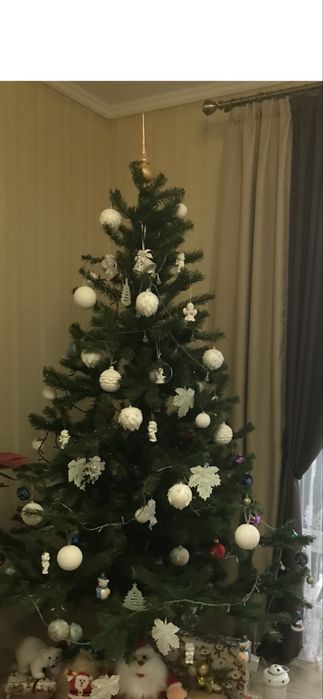 Ялинка в гарному стані