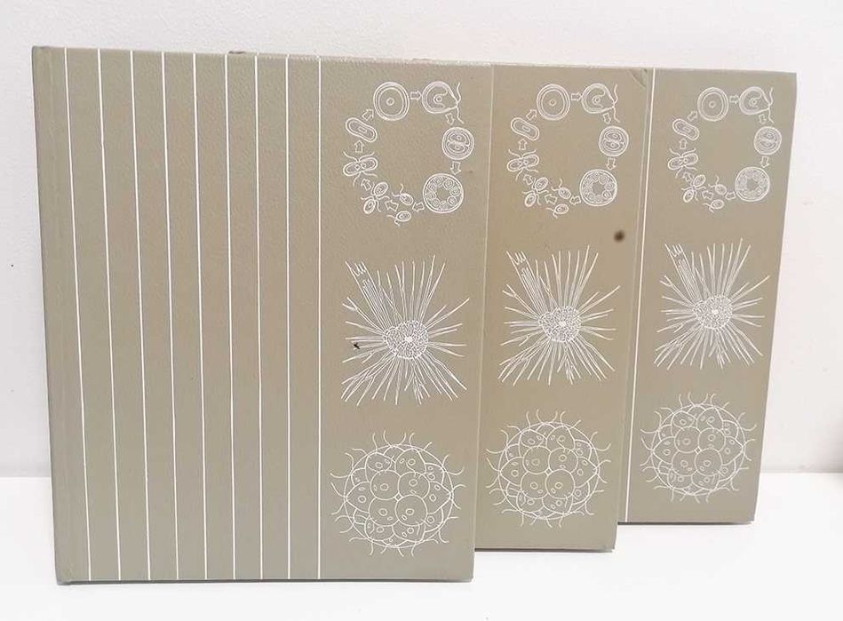 Biologia, Zoologia, Botânica - As Chaves da Vida (3 volumes)