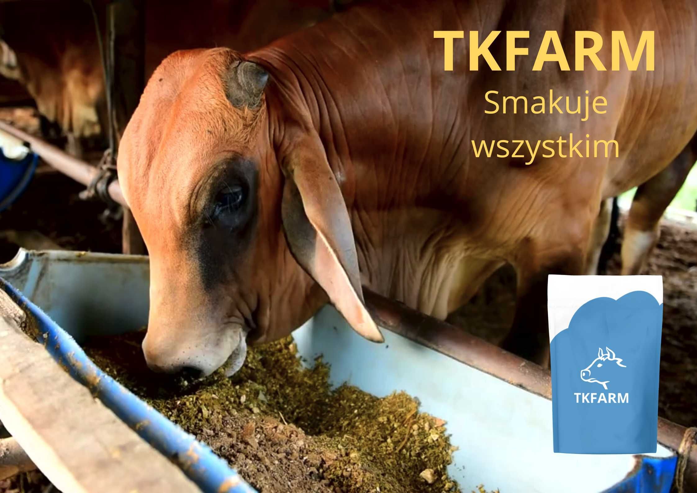 TKLine Lactosan| Mieszanka paszowa dla krów mlecznych | Witaminy |20kg