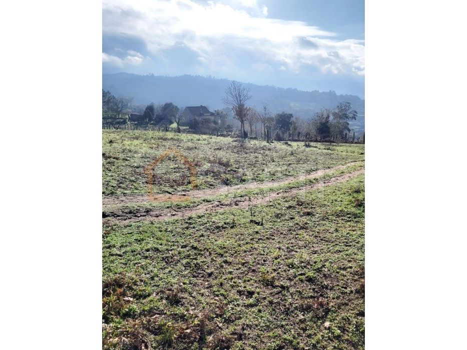 Excelente propriedade para a cultura de Vinho Alvarinho