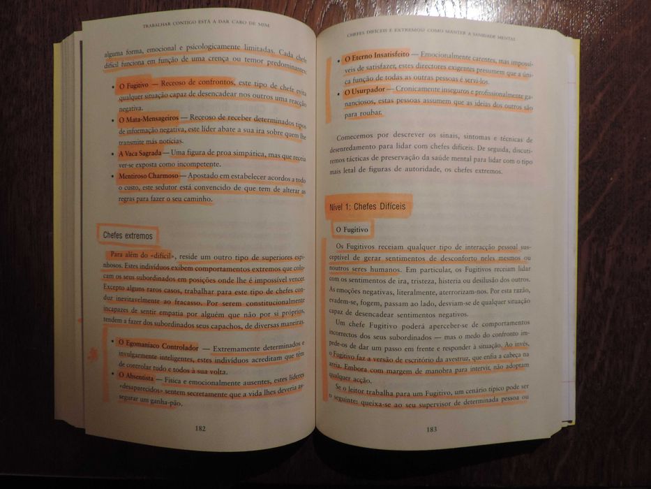 Livro "Trabalhar contigo está a dar cabo de mim"