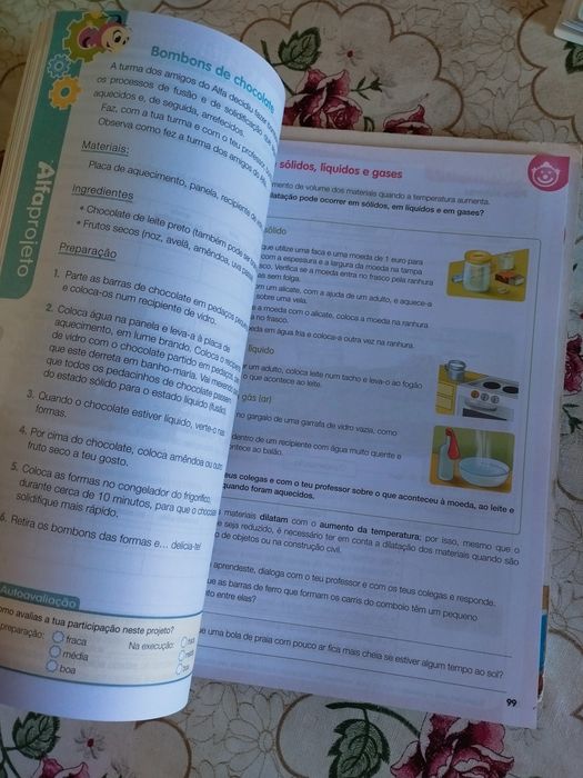 Inglês e estudo do meio 4 ano