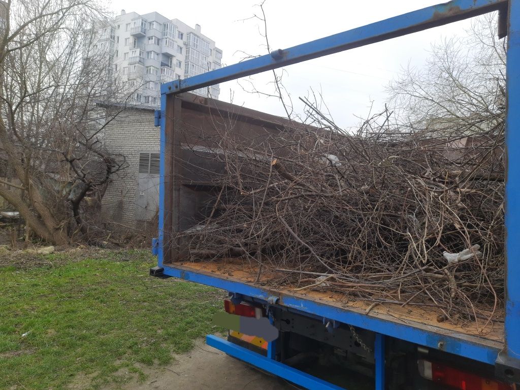 Благоустрій Планування Обрізка Дерев Вивіз Гілля Гілок