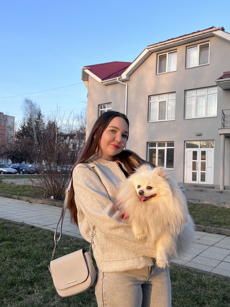 Шукаємо дівчинку шпіца для вʼязки