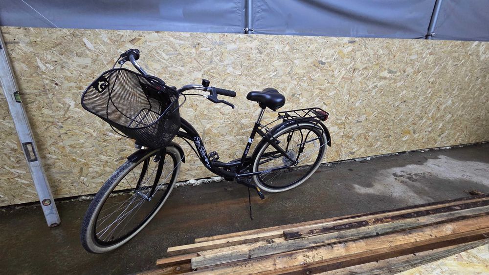 Rower damka z koszykiem