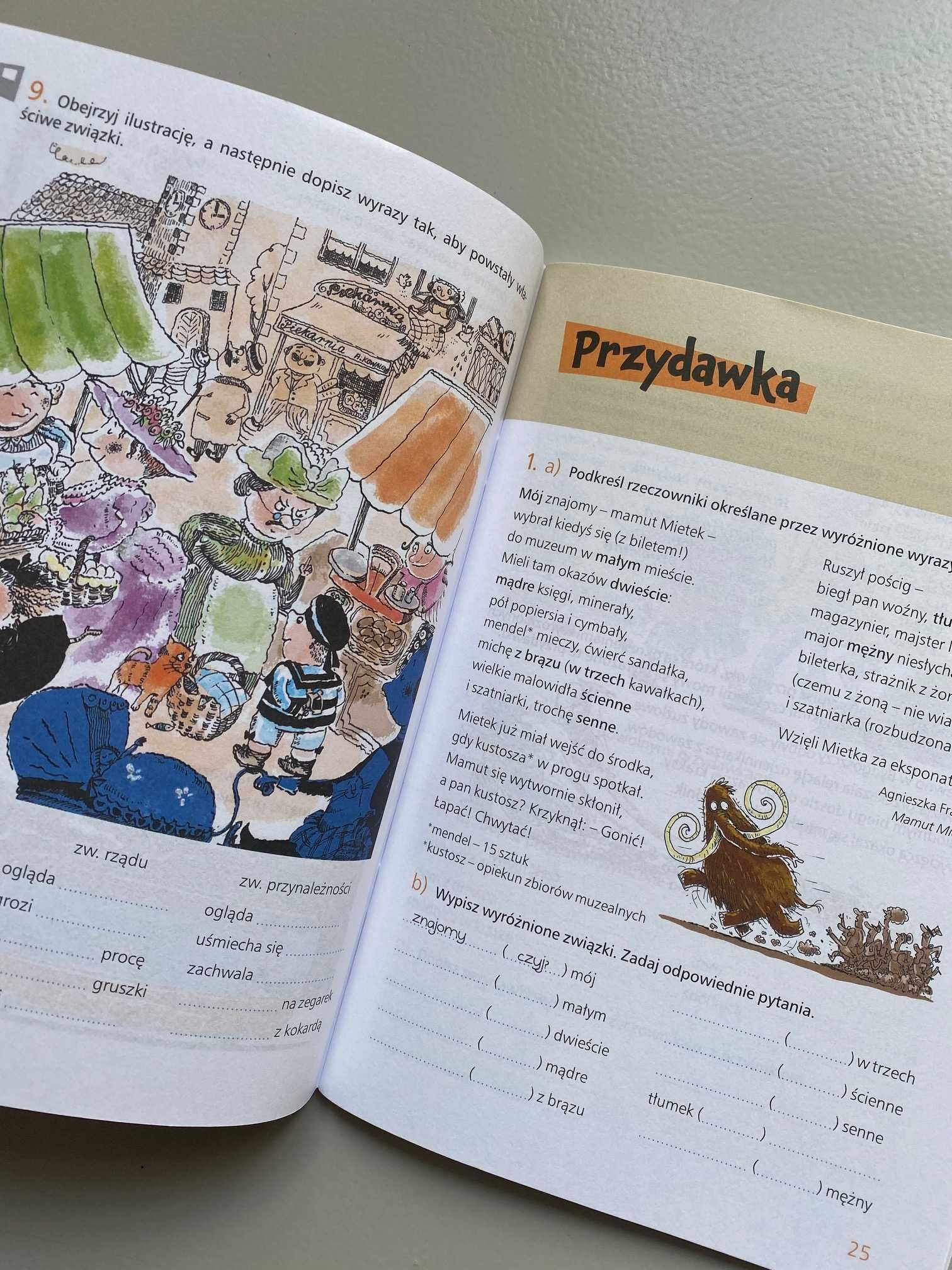 Nauka o języku. Język polski. Ćwiczenia klasa 5 część 2. NOWE