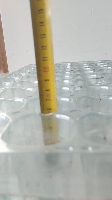 Multiplaty wielodoniczki
