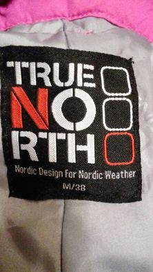 Штаны лыжные зимние True North. Евро 38.Наш 44.