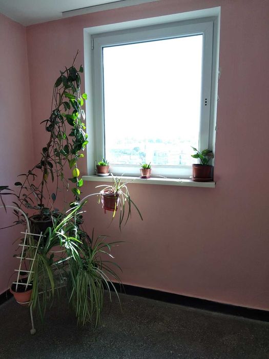 Продам 3к, 72 м2, спецпроект. Р-н Автовокзала