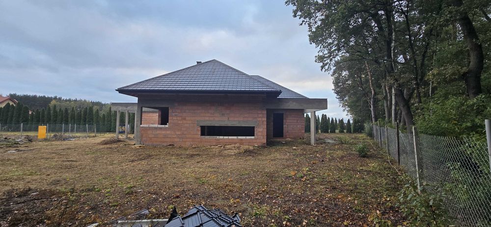 dom jednorodzinny HomeKoncept 31L
