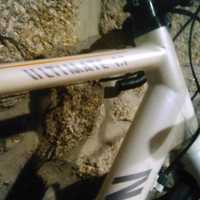 Canyon ultimate CF - Carbono