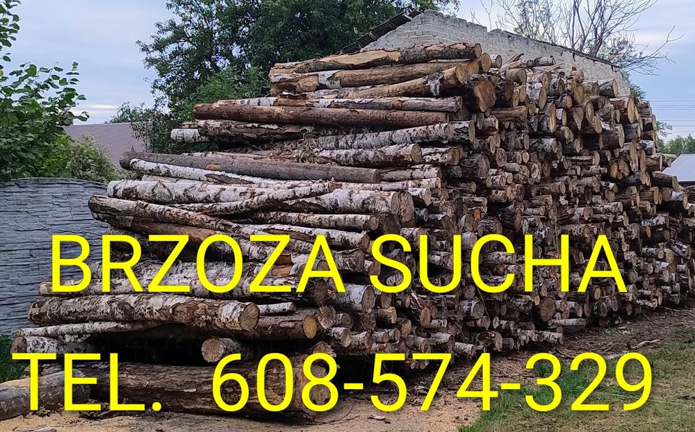 Drewno, Brzoza ,kominkowe, opałowe ,Transport gratis.