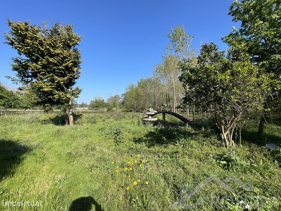 Quinta  Venda em São Miguel do Souto e Mosteirô,Santa Maria da Feira