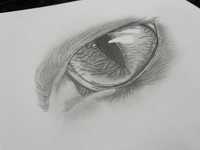 Kocie oko - szkic ołówkiem A4 rysunek obraz