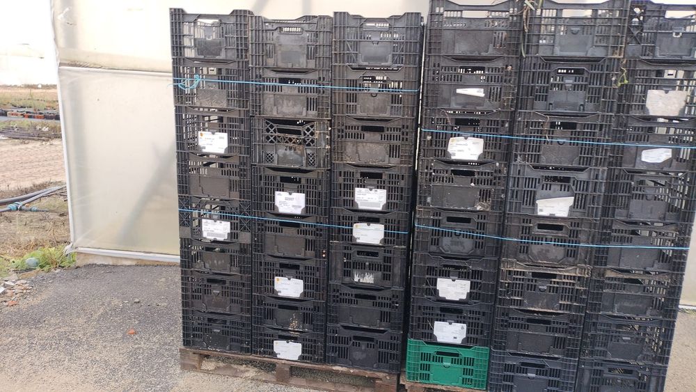 Caixas plástico pretas 60x40x22    .