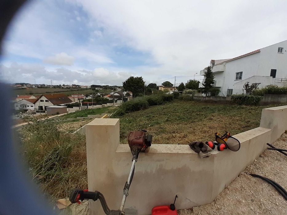 Manutenção de terrenos, corte/poda árvores
