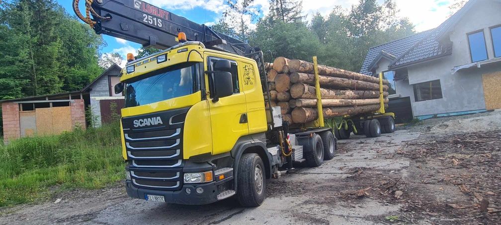 Sprzedam Scanię R500, Volvo FH16 do drzewa ,lasu, dłużycy.