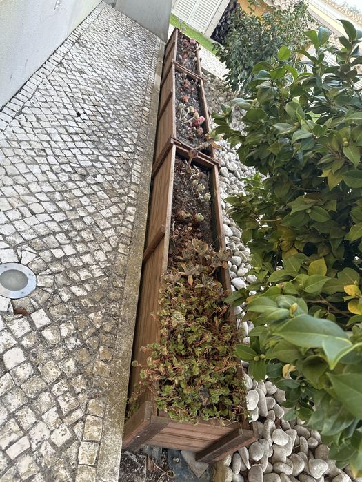 Floreiras Diferentes Tamanhos