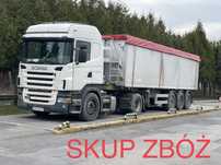 Skup zbóż, pszenżyto, pszenica, jęczmień, żyto, kukurydza i słonecznik