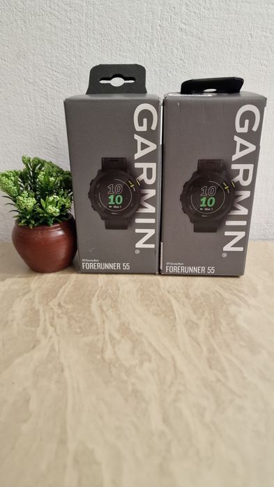 Смарт-годиник Garmin Forerunner 55 Black [010-02562-10