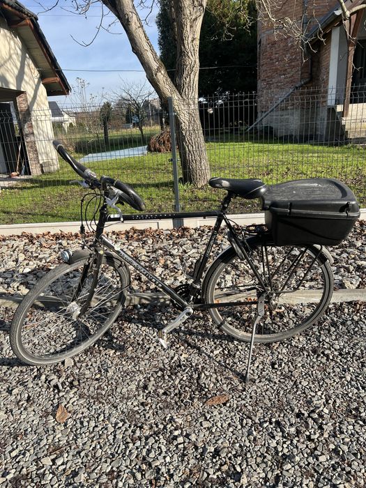 Rower męski Kogamiyata