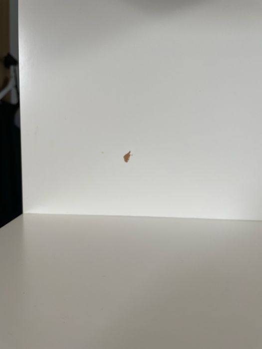 Półka wisząca / ścienna / ikea