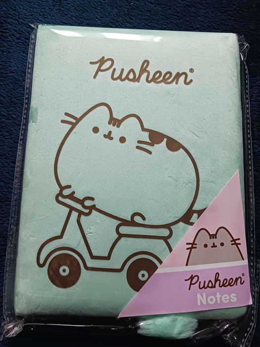 Pluszowy zeszyt pusheen na skuterze