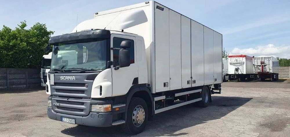 Scania  SCANIA P230 WINDA HDS super stan!