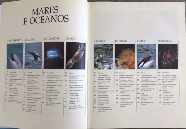 Animais dos mares e oceanos