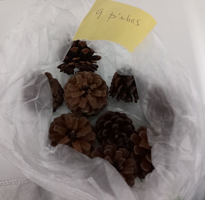 ENFEITES DE NATAL INCLUÍNDO LAMPADAS. Casa,Quarto,Sala,Cozinha,Garagem