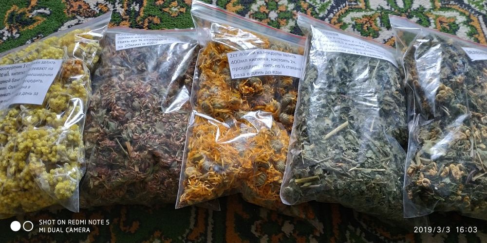 Продаю  віникі для бані дуб - і береза , рвзні трави ,коріння п'ятипал