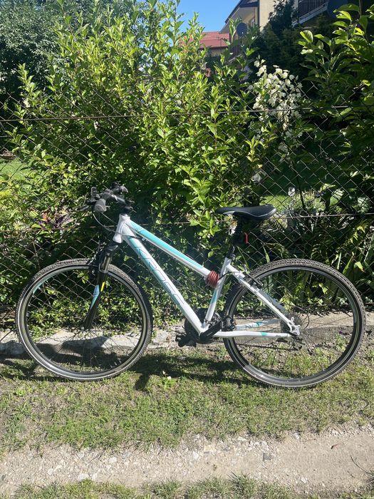Rower Kross Evado 2.0 Damski