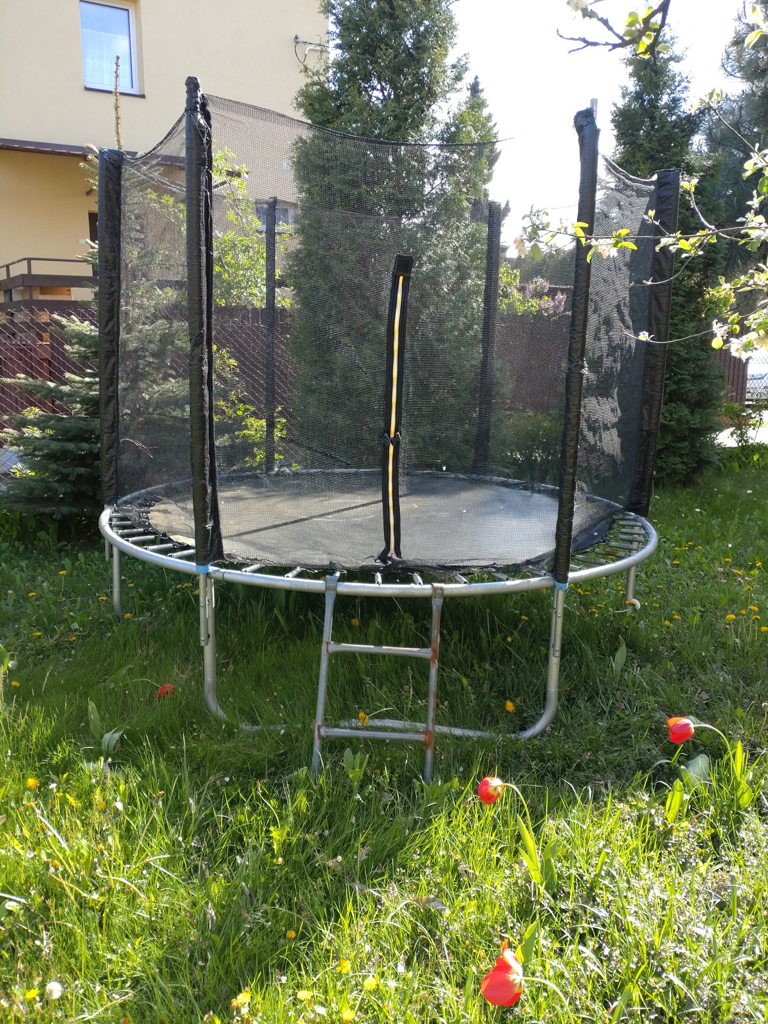 Trampolina ogrodowa 250cm Ostrowiec Świętokrzyski