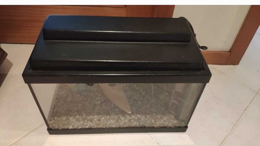 Aquário de peixes