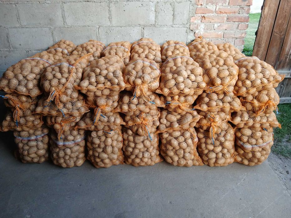 Sprzedam ziemniaki jadalne Gala, Quenn Anna, Lilli, Michalina, Gwiazda