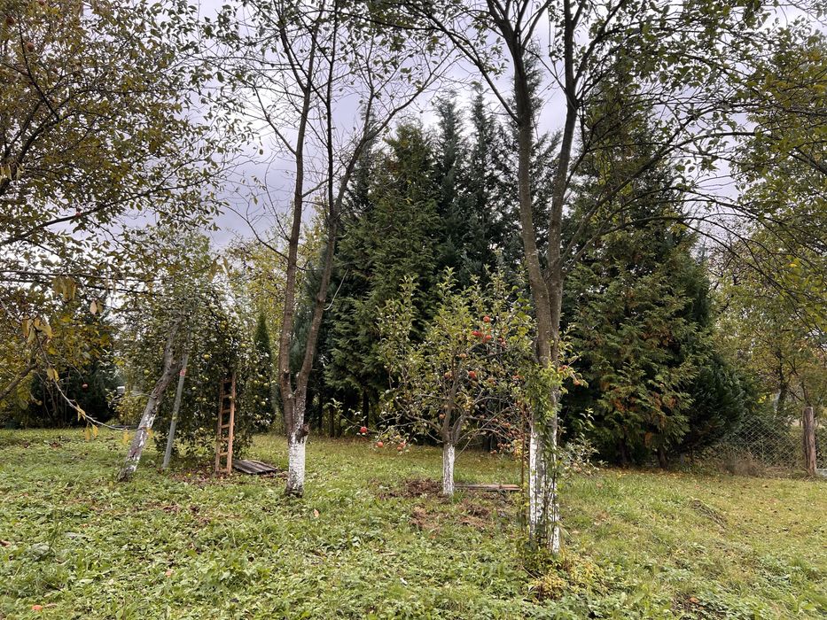 Продається будинок у с. Синевир