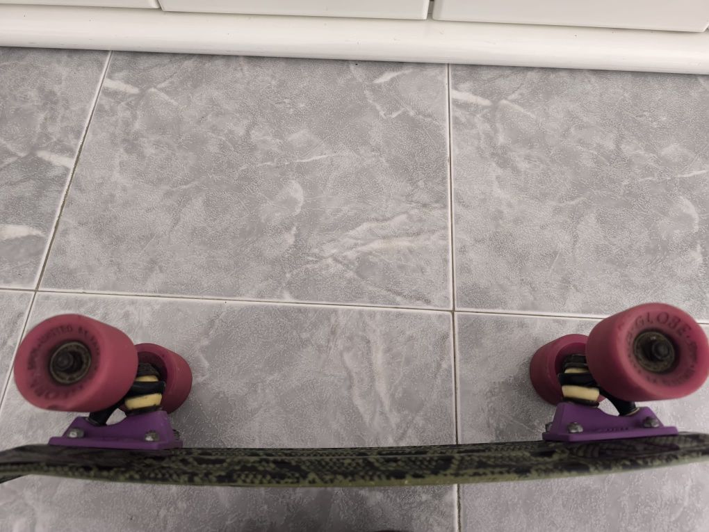 Skate Cruiser Element – Usado – Rodas Globe