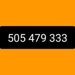 Złoty numer 505.479.333
