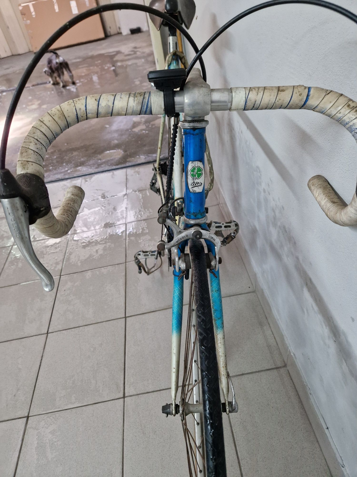 Bicicleta estrada Altis