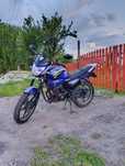 Mustang region 150