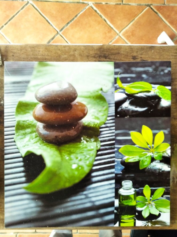 Quadros / Telas decorativas