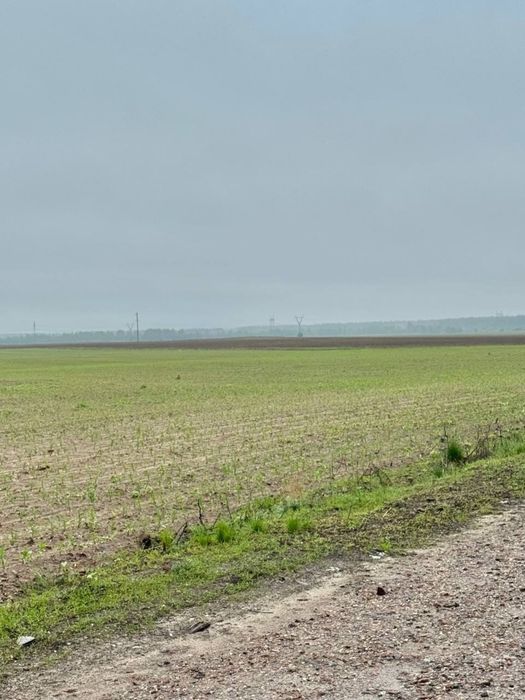 Земельна ділянка 20,17 га! с.Небелиця