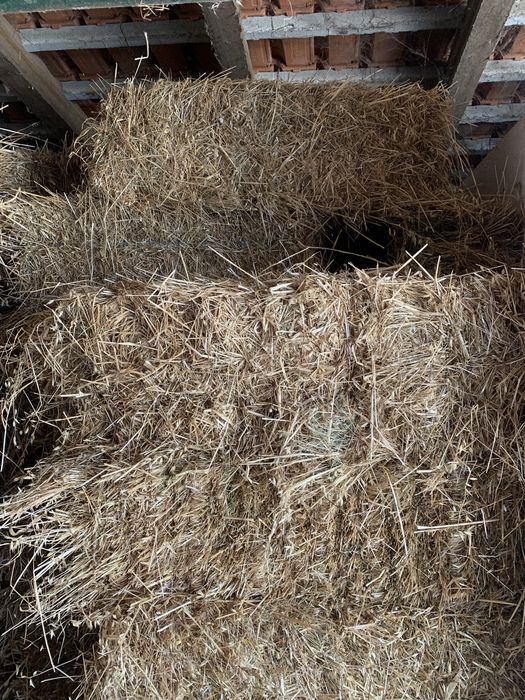 Fardos palha de aveia