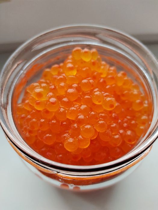 Икра красная черная Горбуша Кета Щука Веслонос