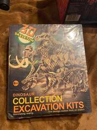 Kolekcja szkieletów dinozaurów