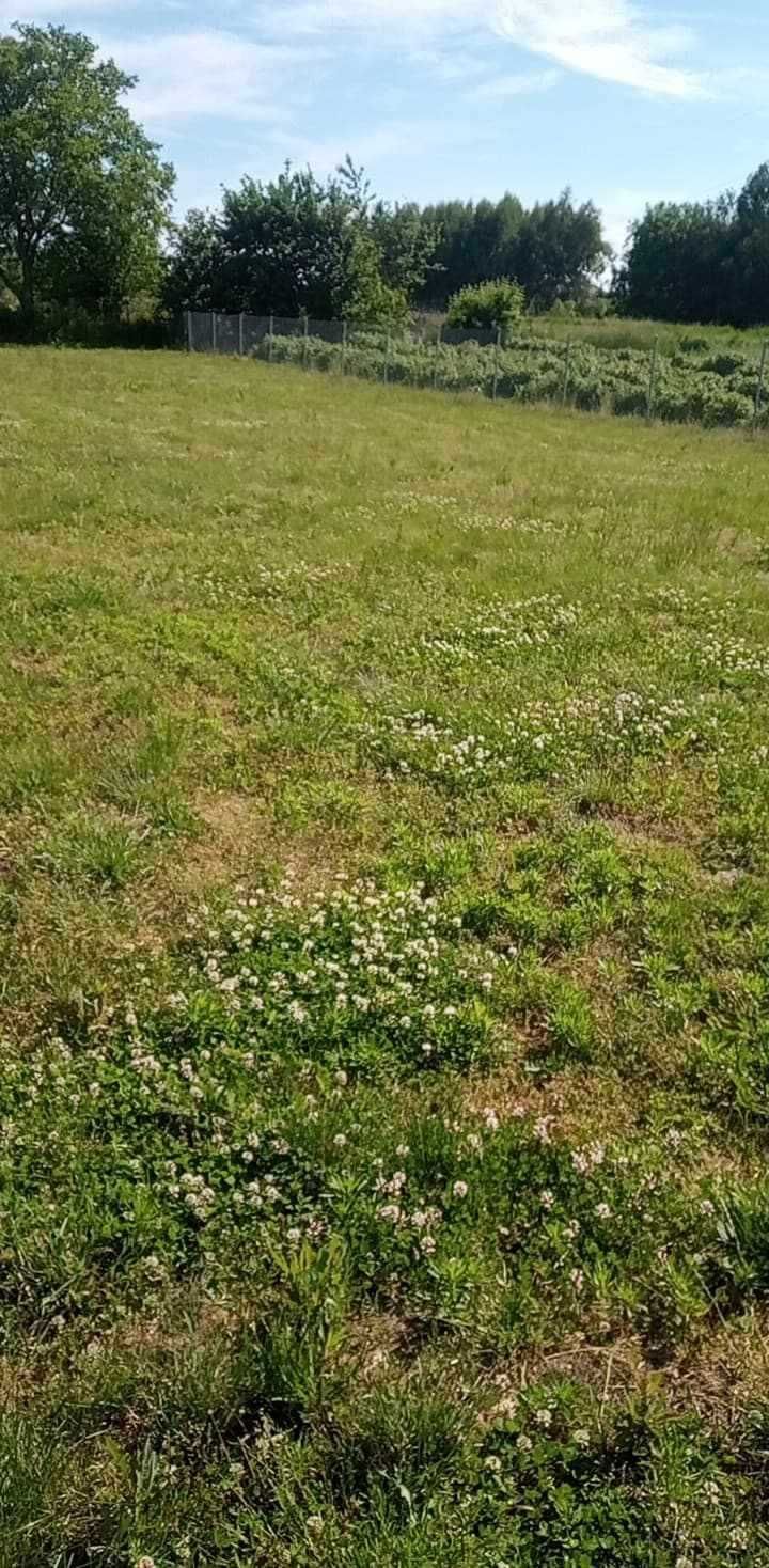 Działka pod budowę domu Krasnystaw