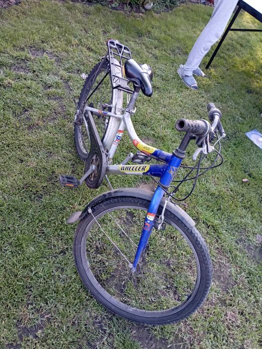 Rower dziecięco-młodzieżowy Wheeler Junior 24”