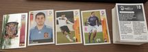 Cromos Panini - Euro 2008